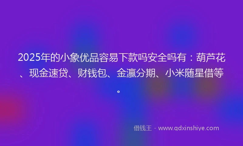 2025年的小象优品容易下款吗安全吗有：葫芦花、现金速贷、财钱包、金瀛分期、小米随星借等。
