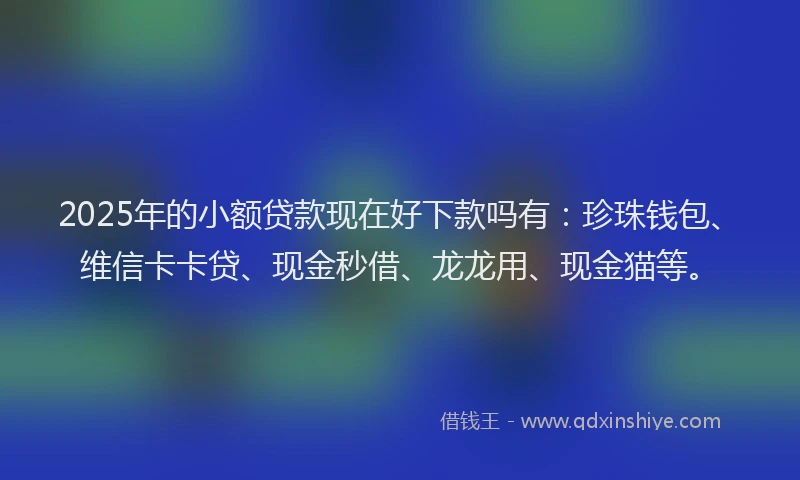 2025年的小额贷款现在好下款吗有：珍珠钱包、维信卡卡贷、现金秒借、龙龙用、现金猫等。