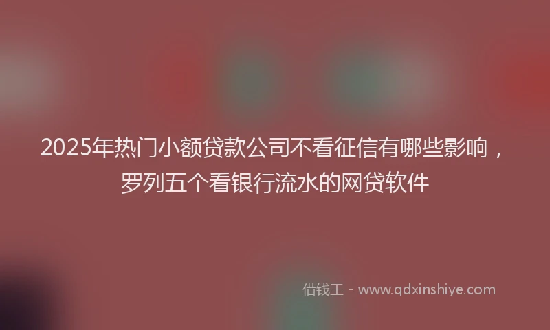 2025年热门小额贷款公司不看征信有哪些影响，罗列五个看银行流水的网贷软件