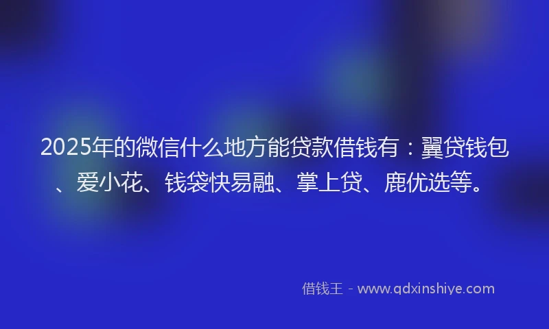2025年的微信什么地方能贷款借钱有：翼贷钱包、爱小花、钱袋快易融、掌上贷、鹿优选等。