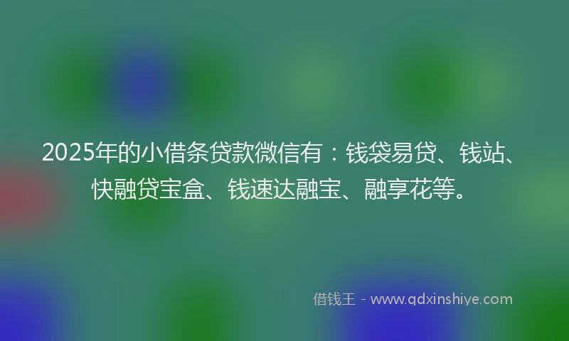 2025年的小借条贷款微信有：钱袋易贷、钱站、快融贷宝盒、钱速达融宝、融享花等。