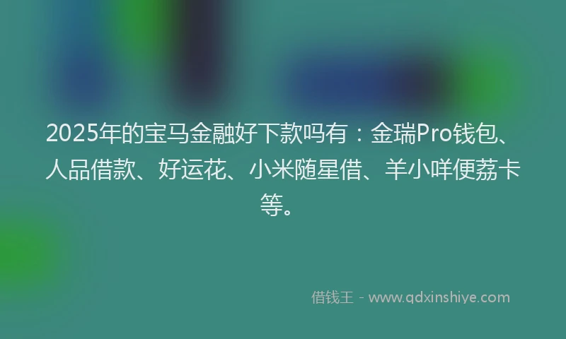 2025年的宝马金融好下款吗有：金瑞Pro钱包、人品借款、好运花、小米随星借、羊小咩便荔卡等。