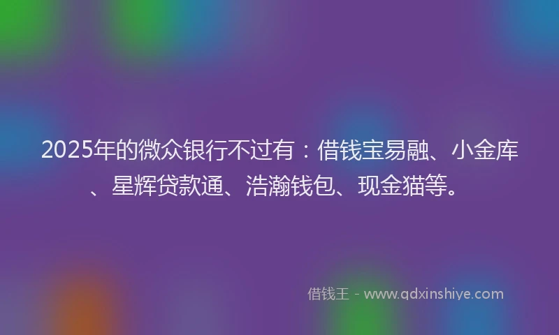 2025年的微众银行不过有：借钱宝易融、小金库、星辉贷款通、浩瀚钱包、现金猫等。