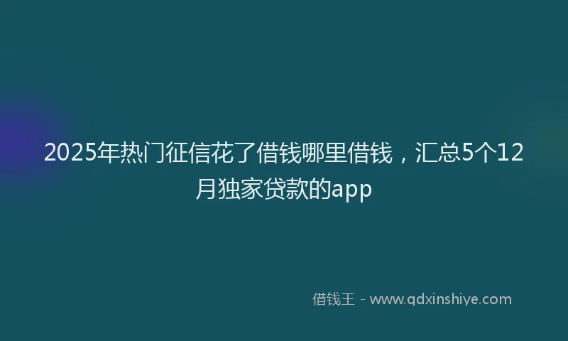 2025年热门征信花了借钱哪里借钱，汇总5个12月独家贷款的app