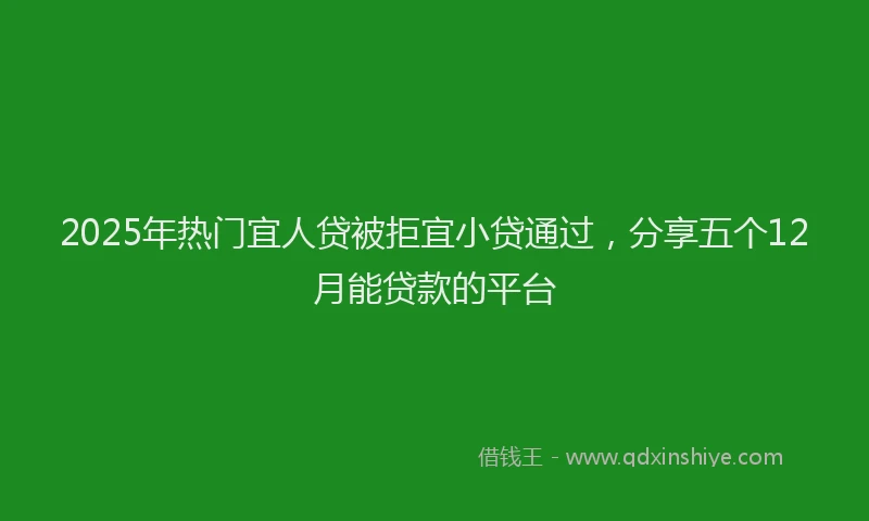 2025年热门宜人贷被拒宜小贷通过，分享五个12月能贷款的平台