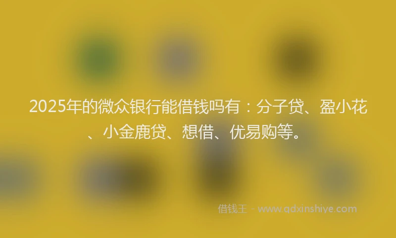 2025年的微众银行能借钱吗有：分子贷、盈小花、小金鹿贷、想借、优易购等。