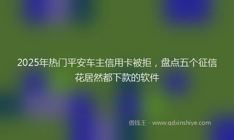 2025年热门平安车主信用卡被拒，盘点五个征信花居然都下款的软件