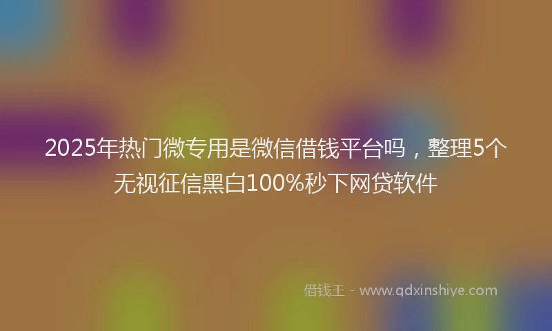 2025年热门微专用是微信借钱平台吗，整理5个无视征信黑白100%秒下网贷软件