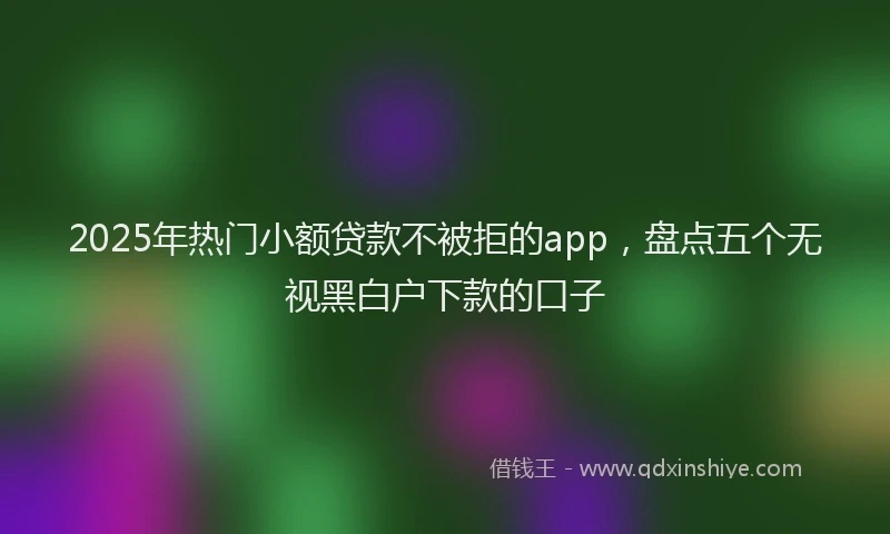 2025年热门小额贷款不被拒的app，盘点五个无视黑白户下款的口子