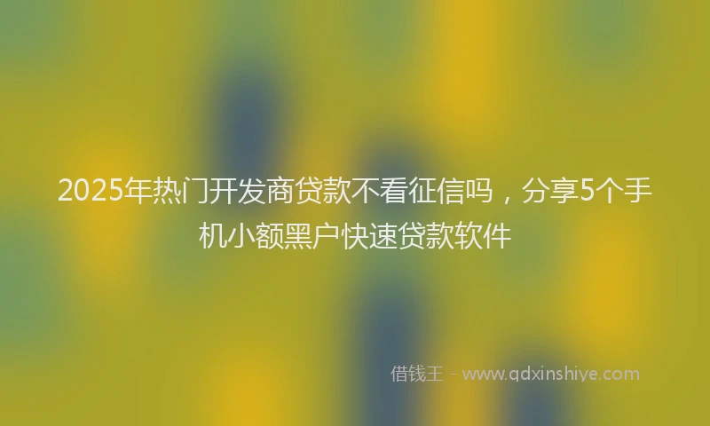 2025年热门开发商贷款不看征信吗，分享5个手机小额黑户快速贷款软件