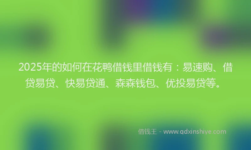 2025年的如何在花鸭借钱里借钱有：易速购、借贷易贷、快易贷通、森森钱包、优投易贷等。