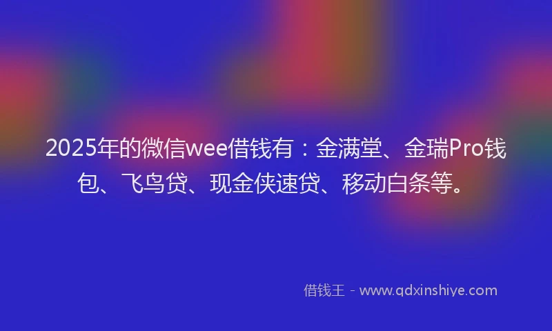 2025年的微信wee借钱有：金满堂、金瑞Pro钱包、飞鸟贷、现金侠速贷、移动白条等。