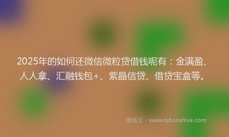 2025年的如何还微信微粒贷借钱呢有：金满盈、人人拿、汇融钱包+、紫晶信贷、借贷宝盒等。
