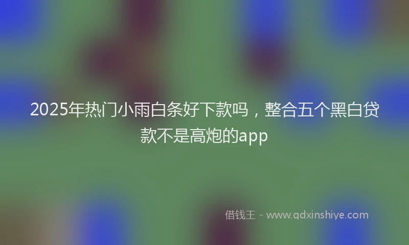 2025年热门小雨白条好下款吗，整合五个黑白贷款不是高炮的app
