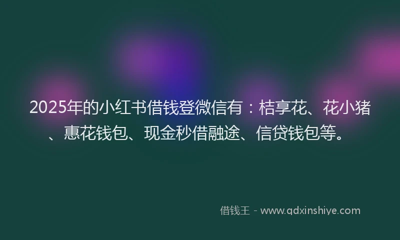 2025年的小红书借钱登微信有：桔享花、花小猪、惠花钱包、现金秒借融途、信贷钱包等。