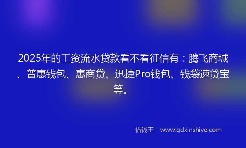 2025年的工资流水贷款看不看征信有：腾飞商城、普惠钱包、惠商贷、迅捷Pro钱包、钱袋速贷宝等。