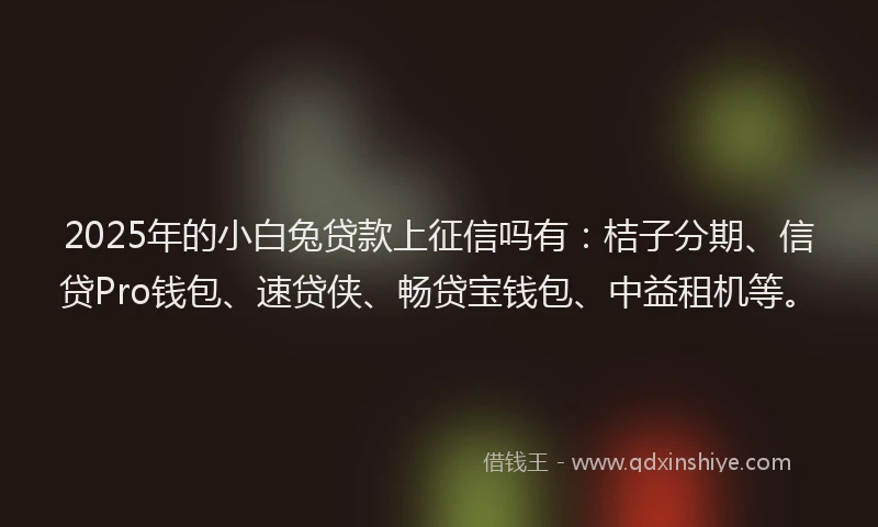 2025年的小白兔贷款上征信吗有：桔子分期、信贷Pro钱包、速贷侠、畅贷宝钱包、中益租机等。