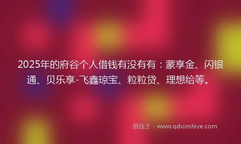 2025年的府谷个人借钱有没有有：蒙享金、闪银通、贝乐享-飞鑫琼宝、粒粒贷、理想给等。