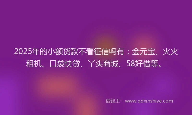 2025年的小额货款不看征信吗有：金元宝、火火租机、口袋快贷、丫头商城、58好借等。