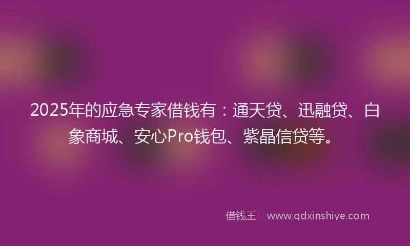 2025年的应急专家借钱有：通天贷、迅融贷、白象商城、安心Pro钱包、紫晶信贷等。