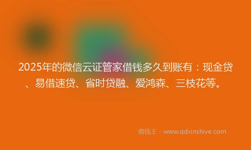 2025年的微信云证管家借钱多久到账有：现金贷、易借速贷、省时贷融、爱鸿森、三枝花等。