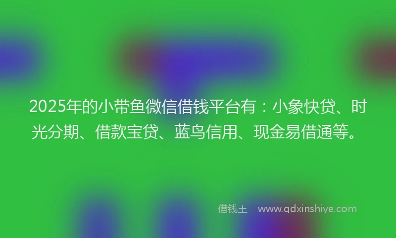 2025年的小带鱼微信借钱平台有：小象快贷、时光分期、借款宝贷、蓝鸟信用、现金易借通等。