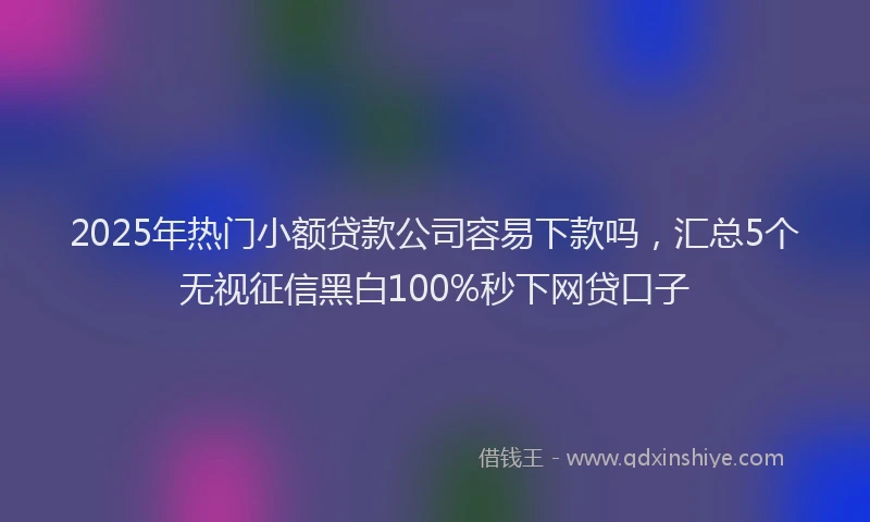 2025年热门小额贷款公司容易下款吗，汇总5个无视征信黑白100%秒下网贷口子