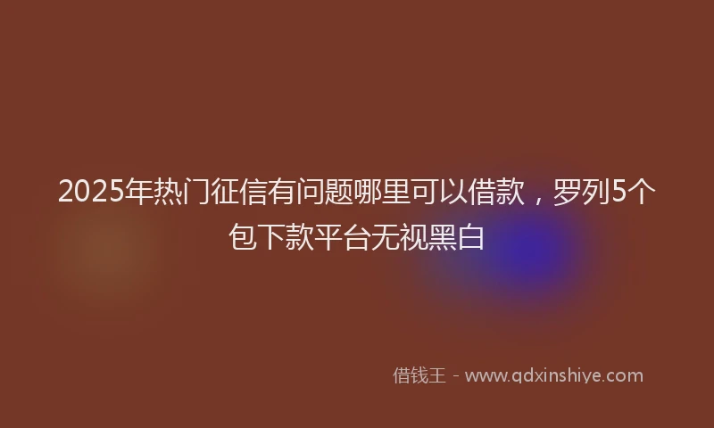 2025年热门征信有问题哪里可以借款，罗列5个包下款平台无视黑白
