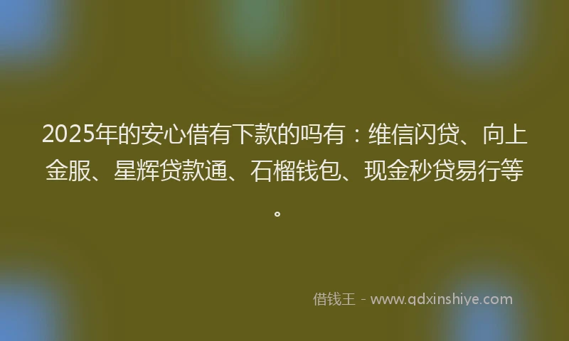 2025年的安心借有下款的吗有：维信闪贷、向上金服、星辉贷款通、石榴钱包、现金秒贷易行等。