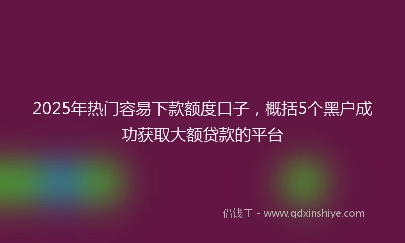2025年热门容易下款额度口子，概括5个黑户成功获取大额贷款的平台