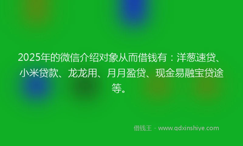2025年的微信介绍对象从而借钱有：洋葱速贷、小米贷款、龙龙用、月月盈贷、现金易融宝贷途等。
