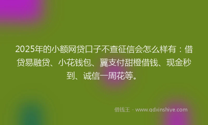 2025年的小额网贷口子不查征信会怎么样有：借贷易融贷、小花钱包、翼支付甜橙借钱、现金秒到、诚信一周花等。