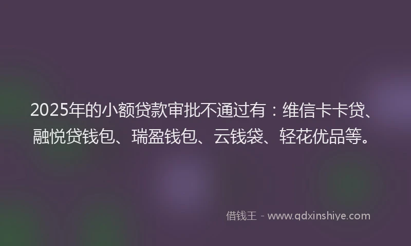 2025年的小额贷款审批不通过有：维信卡卡贷、融悦贷钱包、瑞盈钱包、云钱袋、轻花优品等。