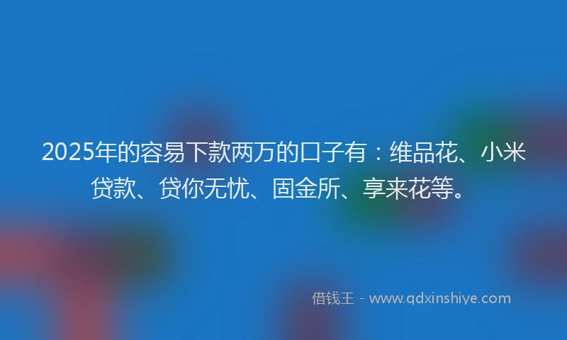 2025年的容易下款两万的口子有：维品花、小米贷款、贷你无忧、固金所、享来花等。