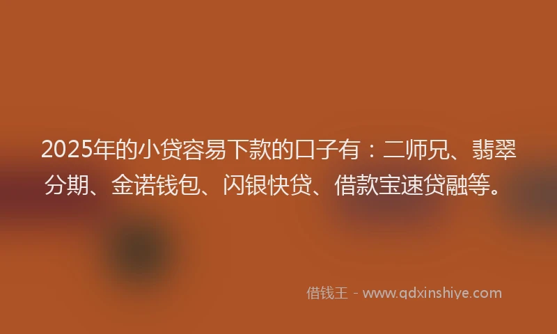 2025年的小贷容易下款的口子有：二师兄、翡翠分期、金诺钱包、闪银快贷、借款宝速贷融等。