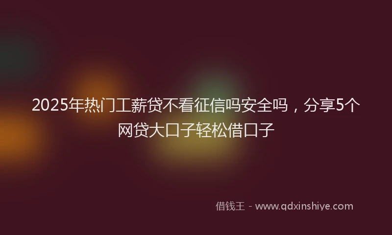 2025年热门工薪贷不看征信吗安全吗，分享5个网贷大口子轻松借口子