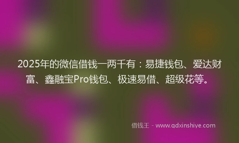 2025年的微信借钱一两千有：易捷钱包、爱达财富、鑫融宝Pro钱包、极速易借、超级花等。