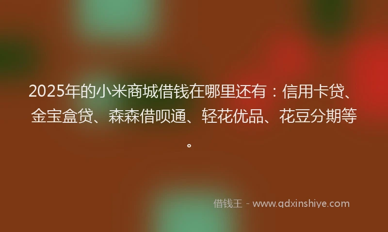 2025年的小米商城借钱在哪里还有：信用卡贷、金宝盒贷、森森借呗通、轻花优品、花豆分期等。