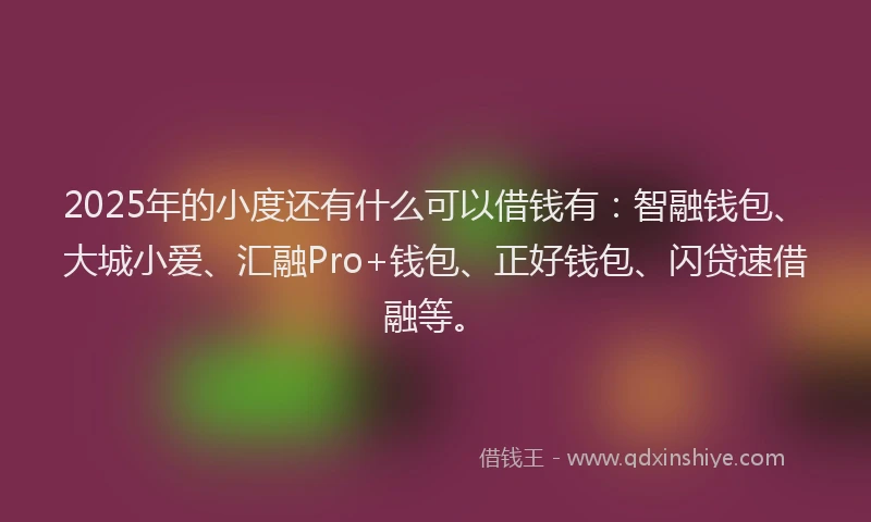 2025年的小度还有什么可以借钱有：智融钱包、大城小爱、汇融Pro+钱包、正好钱包、闪贷速借融等。
