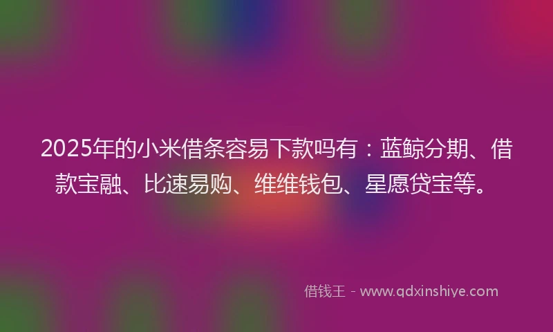 2025年的小米借条容易下款吗有：蓝鲸分期、借款宝融、比速易购、维维钱包、星愿贷宝等。
