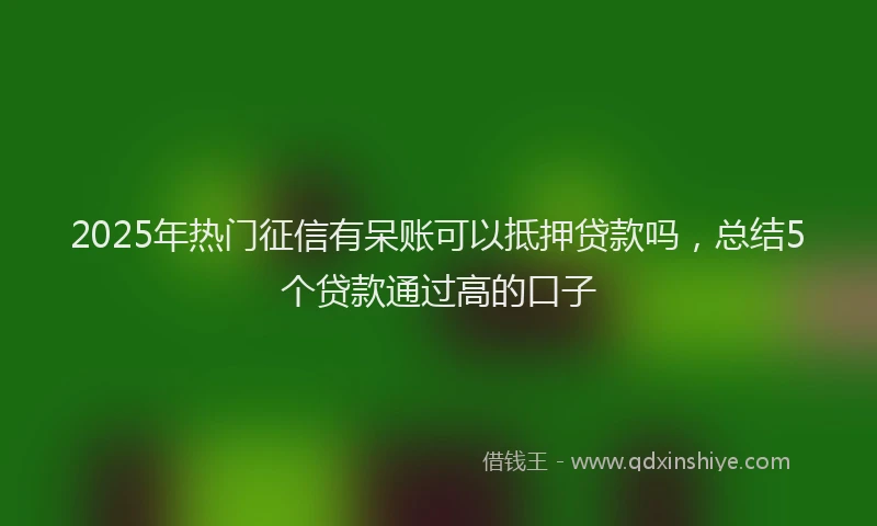 2025年热门征信有呆账可以抵押贷款吗，总结5个贷款通过高的口子