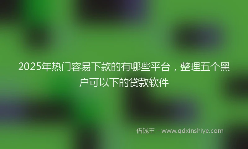 2025年热门容易下款的有哪些平台，整理五个黑户可以下的贷款软件