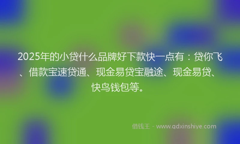 2025年的小贷什么品牌好下款快一点有：贷你飞、借款宝速贷通、现金易贷宝融途、现金易贷、快鸟钱包等。
