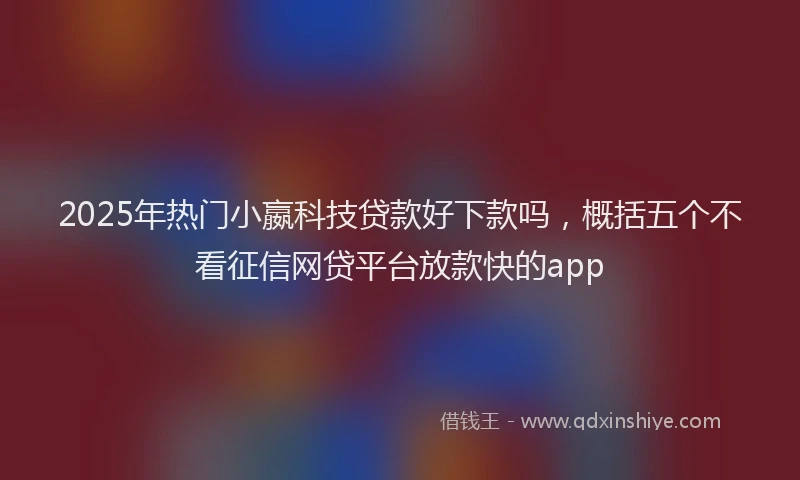 2025年热门小嬴科技贷款好下款吗，概括五个不看征信网贷平台放款快的app