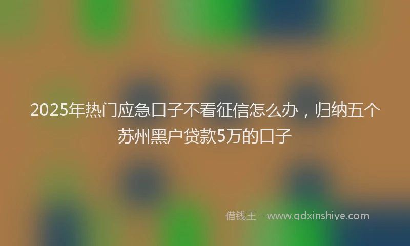 2025年热门应急口子不看征信怎么办，归纳五个苏州黑户贷款5万的口子