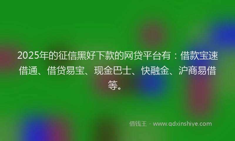 2025年的征信黑好下款的网贷平台有：借款宝速借通、借贷易宝、现金巴士、快融金、沪商易借等。