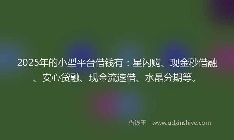 2025年的小型平台借钱有：星闪购、现金秒借融、安心贷融、现金流速借、水晶分期等。