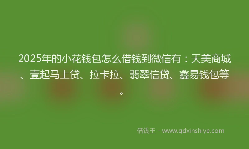 2025年的小花钱包怎么借钱到微信有：天美商城、壹起马上贷、拉卡拉、翡翠信贷、鑫易钱包等。