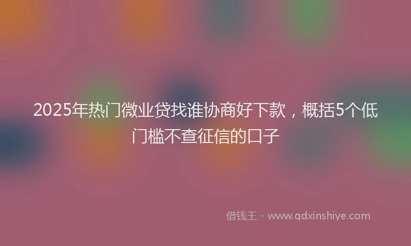 2025年热门微业贷找谁协商好下款，概括5个低门槛不查征信的口子