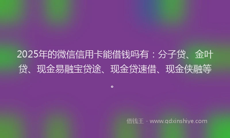 2025年的微信信用卡能借钱吗有：分子贷、金叶贷、现金易融宝贷途、现金贷速借、现金侠融等。